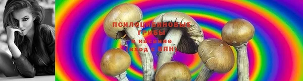 дурь Белоозёрский